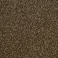 Symphony Classic Morel